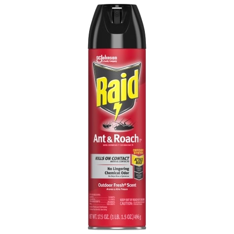 Raid Ant & Roach Spray, 17.5-oz. Bottles